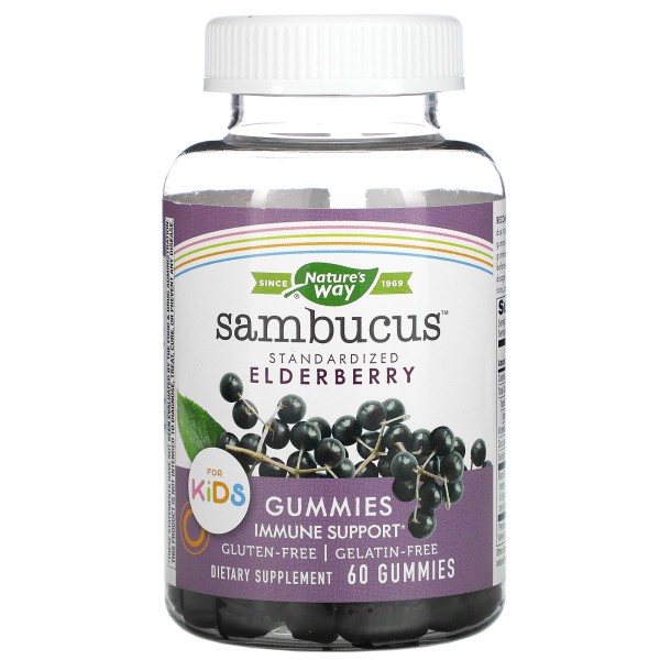Nature's Way Sambucus стандартизированный экстракт бузины для детей 60 жевательных таблеток